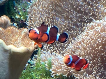 名古屋港水族館に投稿された画像（2022/5/5）