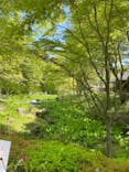 六甲高山植物園に投稿された画像（2022/5/5）