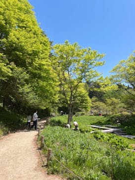 六甲高山植物園に投稿された画像（2022/5/5）