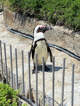 サンシャイン水族館に投稿された画像（2022/5/5）
