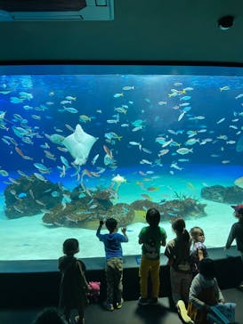 サンシャイン水族館に投稿された画像（2022/5/5）