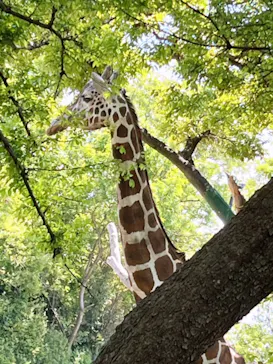 天王寺動物園に投稿された画像（2022/5/5）
