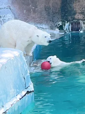 天王寺動物園に投稿された画像（2022/5/5）