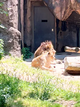 天王寺動物園に投稿された画像（2022/5/5）