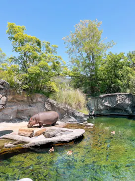 天王寺動物園に投稿された画像（2022/5/5）