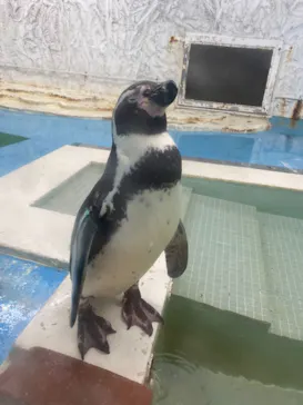 天王寺動物園に投稿された画像（2022/5/5）