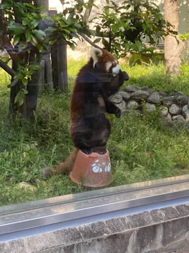 天王寺動物園に投稿された画像（2022/5/5）