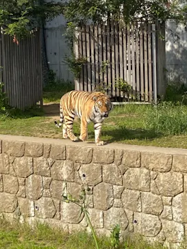 天王寺動物園に投稿された画像（2022/5/5）