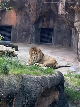 天王寺動物園に投稿された画像（2022/5/5）
