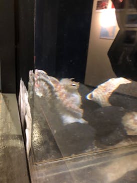 しながわ水族館に投稿された画像（2022/5/5）