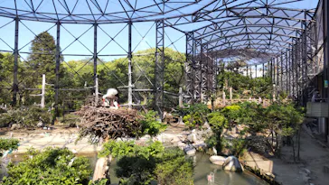 天王寺動物園に投稿された画像（2022/5/5）