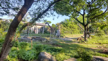 天王寺動物園に投稿された画像（2022/5/5）