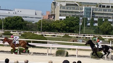 園田競馬場に投稿された画像（2022/5/5）
