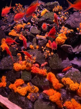 大分マリーンパレス水族館 「うみたまご」に投稿された画像（2022/5/5）