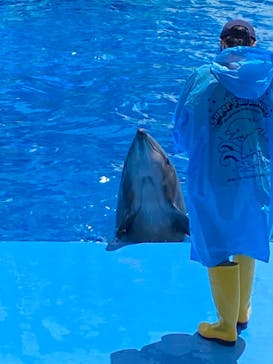 名古屋港水族館に投稿された画像（2022/5/5）