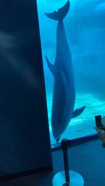 名古屋港水族館に投稿された画像（2022/5/5）