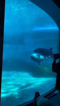 名古屋港水族館に投稿された画像（2022/5/5）