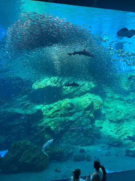 仙台うみの杜水族館に投稿された画像（2022/5/5）
