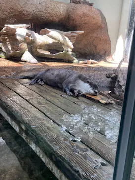 仙台うみの杜水族館に投稿された画像（2022/5/5）