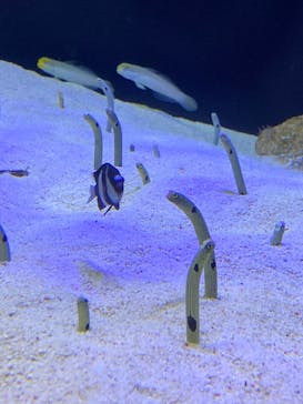 株式会社Gに投稿された画像（2022/5/5）