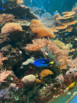 株式会社Gに投稿された画像（2022/5/5）