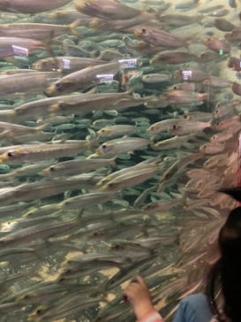 株式会社Gに投稿された画像（2022/5/5）