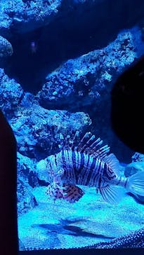 名古屋港水族館に投稿された画像（2022/5/5）