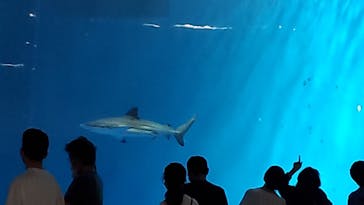 名古屋港水族館に投稿された画像（2022/5/5）