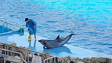 名古屋港水族館に投稿された画像（2022/5/5）