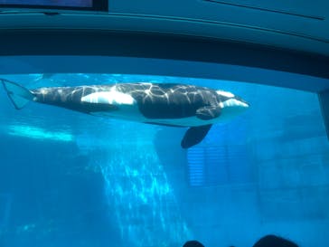 名古屋港水族館に投稿された画像（2022/5/5）