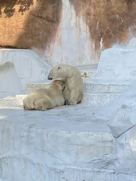 天王寺動物園に投稿された画像（2022/5/5）