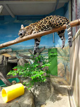 天王寺動物園に投稿された画像（2022/5/5）