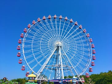 日本モンキーパークに投稿された画像（2022/5/5）