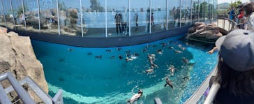 上越市立水族博物館 うみがたりに投稿された画像（2022/5/5）