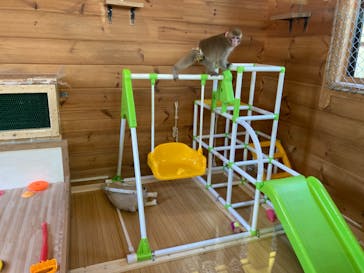 おさるランド＆アニタウン　日光さる軍団劇場に投稿された画像（2022/5/5）