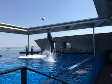 上越市立水族博物館 うみがたりに投稿された画像（2022/5/5）