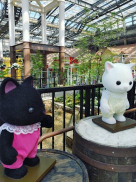 安城産業文化公園デンパークに投稿された画像（2022/5/5）