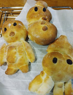 安城産業文化公園デンパークに投稿された画像（2022/5/5）