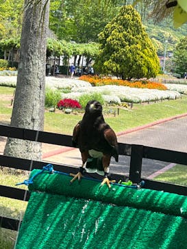 九十九島動植物園森きららに投稿された画像（2022/5/5）