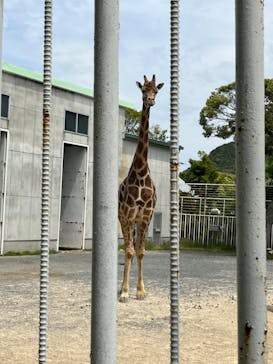 九十九島動植物園森きららに投稿された画像（2022/5/5）