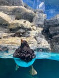 アクアワールド茨城県大洗水族館に投稿された画像（2022/5/5）