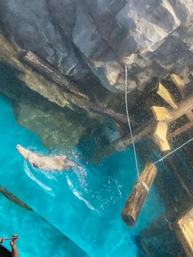 アクアワールド茨城県大洗水族館に投稿された画像（2022/5/5）