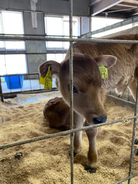 那須高原りんどう湖ファミリー牧場に投稿された画像（2022/5/5）