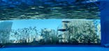 サンシャイン水族館に投稿された画像（2022/5/5）