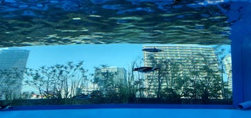 サンシャイン水族館に投稿された画像（2022/5/5）