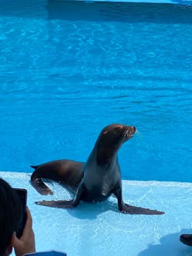 南知多ビーチランド＆南知多おもちゃ王国に投稿された画像（2022/5/5）