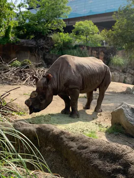 天王寺動物園に投稿された画像（2022/5/5）