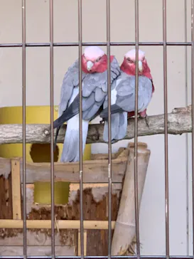 天王寺動物園に投稿された画像（2022/5/5）