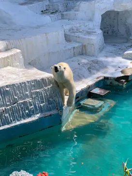 天王寺動物園に投稿された画像（2022/5/5）