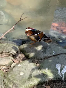 天王寺動物園に投稿された画像（2022/5/5）